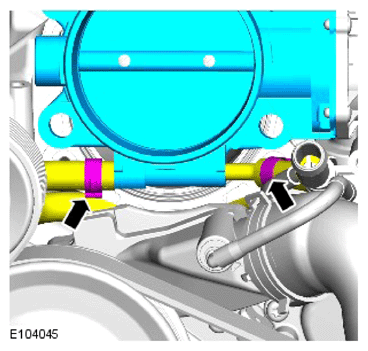 G15621564