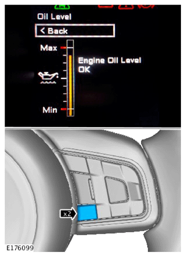 G15621621