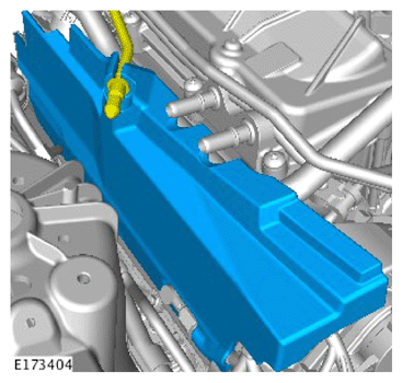 G15621667