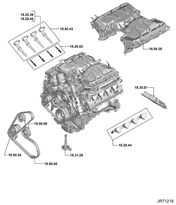 G15622009