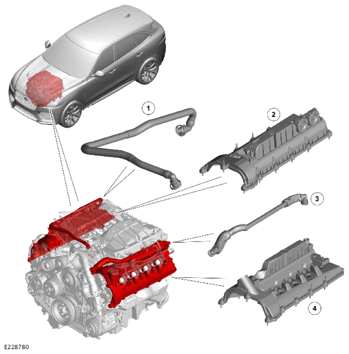 G15622065