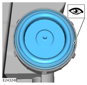 G15622073
