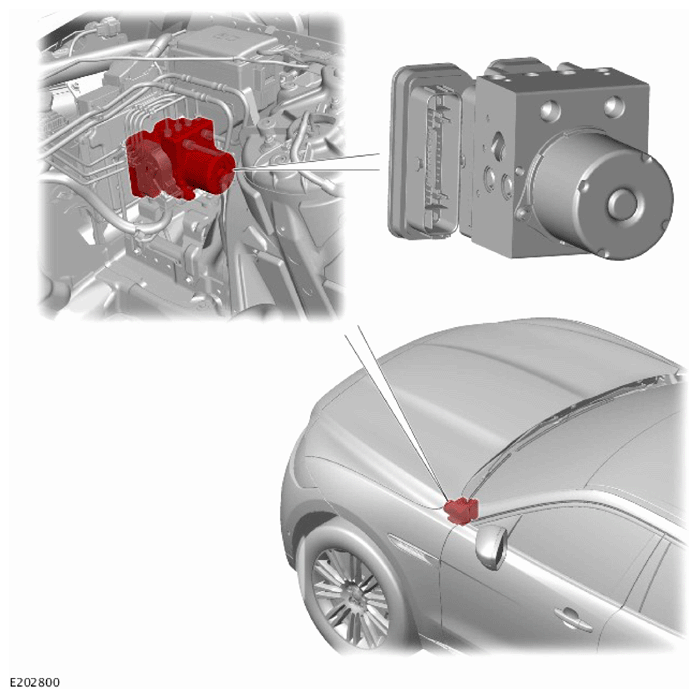G15622557