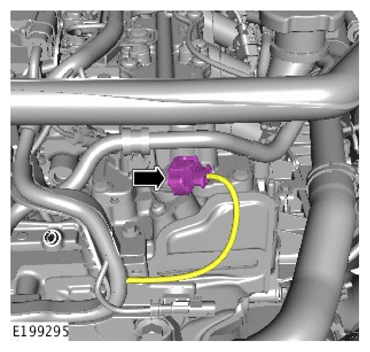 G15622572