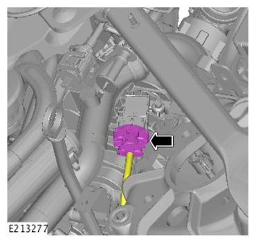 G15622584