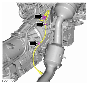 G15622616