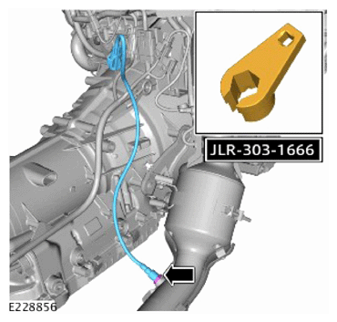 G15622617