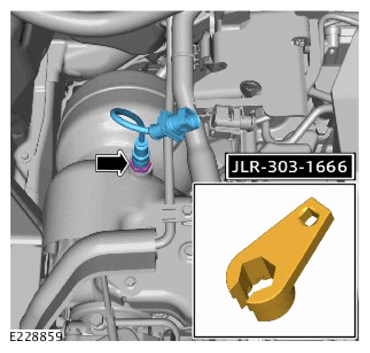 G15622625