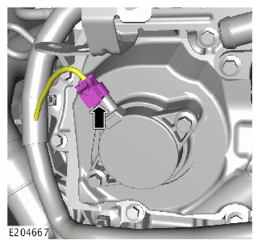 G15622637