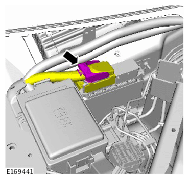 G15622646