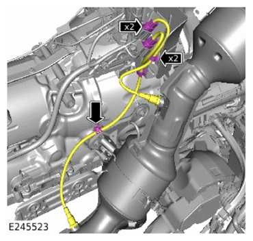 G15622975