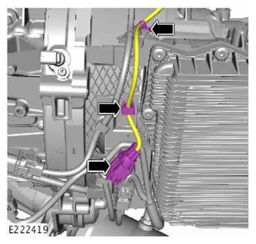 G15623084