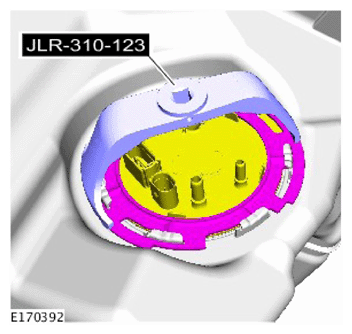 G15623344