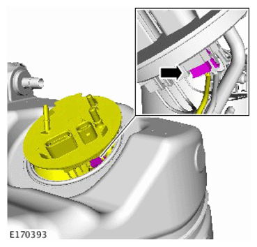 G15623345