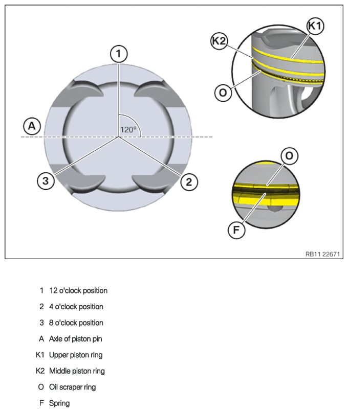 G15634155