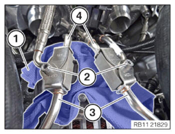 G15637128