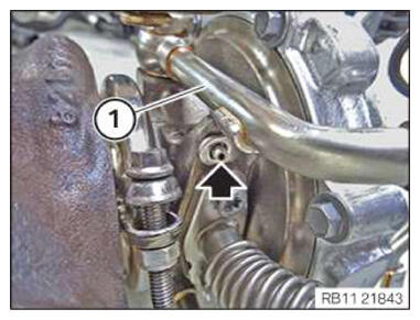 G15637544