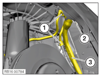 G15644024