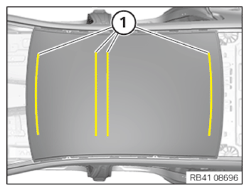 G15666113