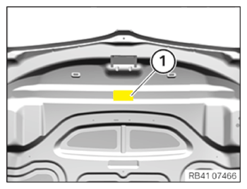 G15666584