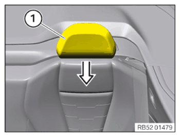 G15667344