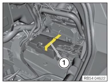 G15685308