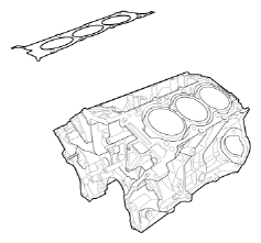 G15692894