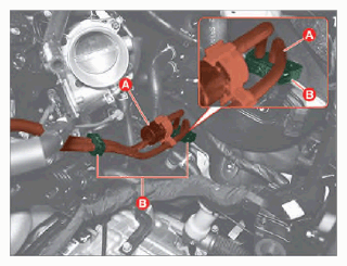 G15693445