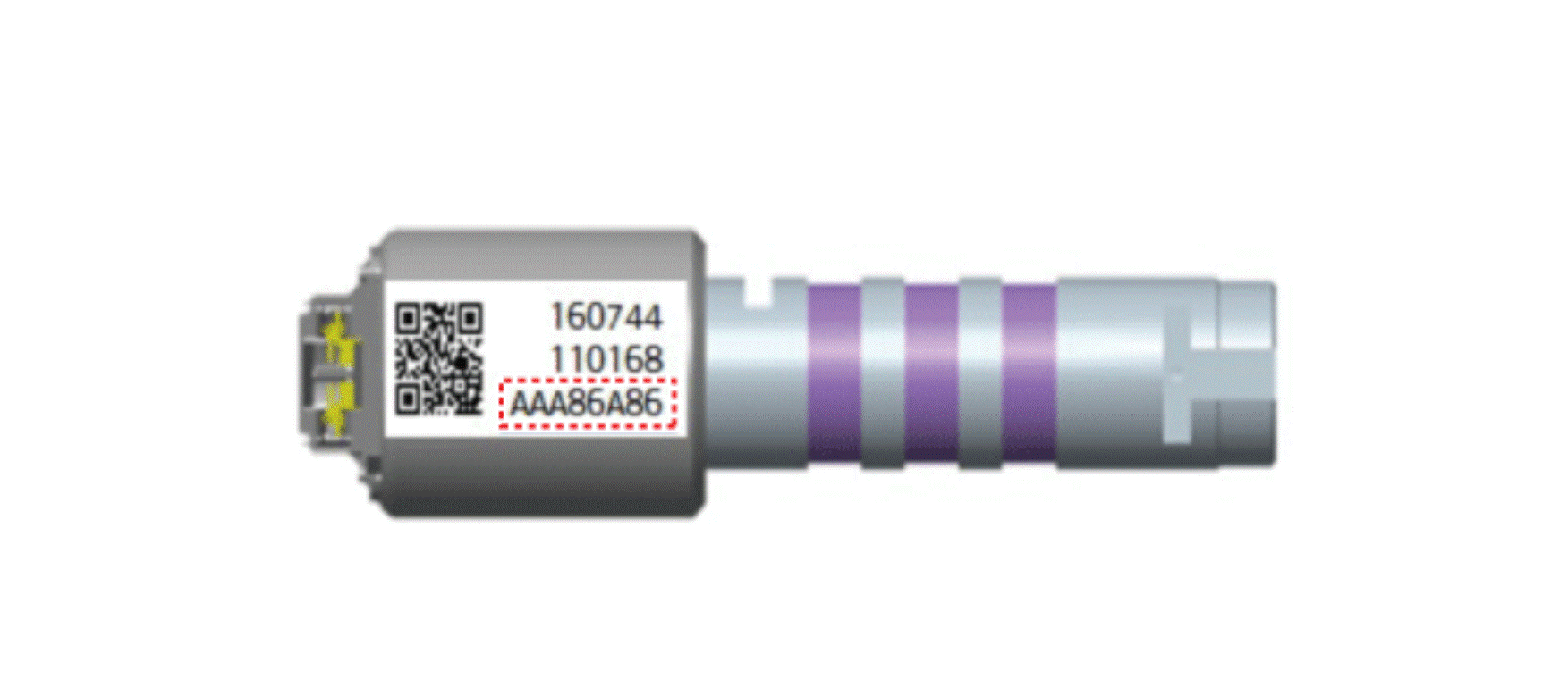 G15693755
