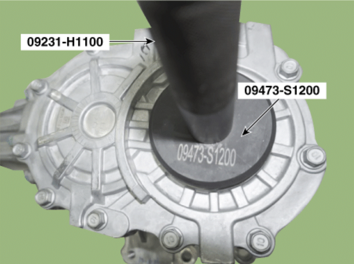 G15693825
