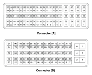 G15694499