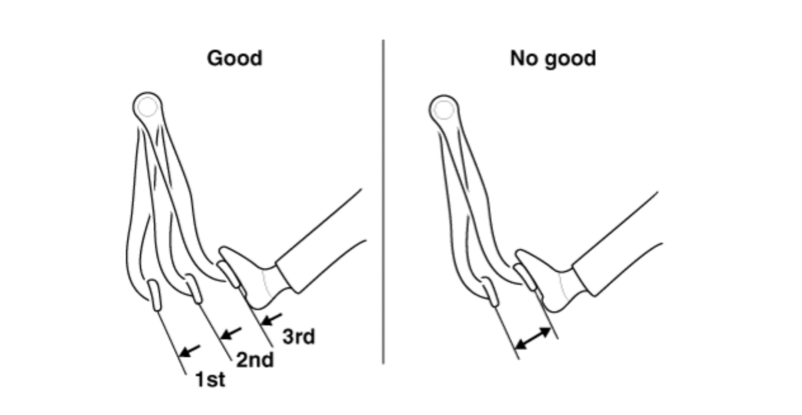 G15709345