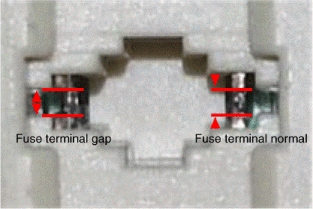 G15709375