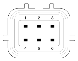 G15709385