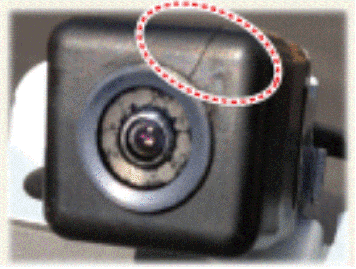 G15710768