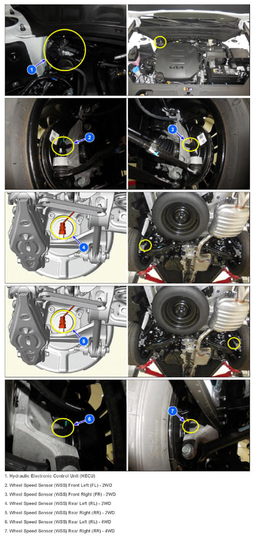 G15718180