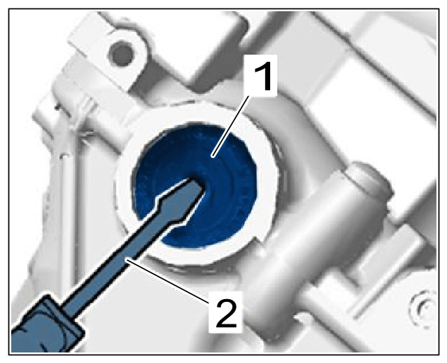 G15824629