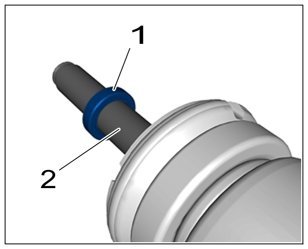 G15856811