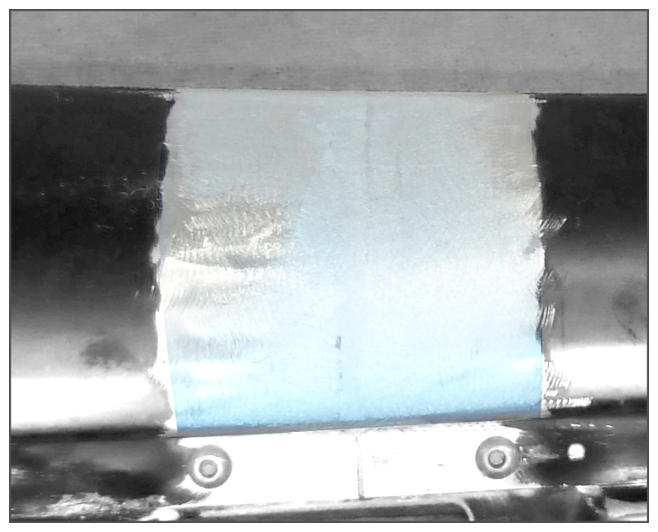 G15864126