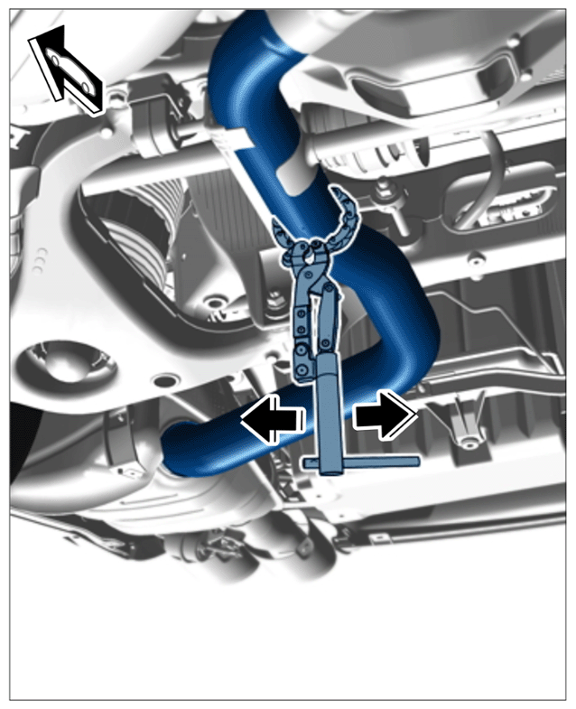 G15877572