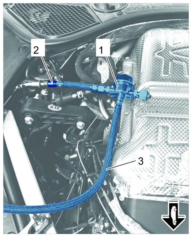 G15880685