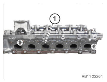 G15911278