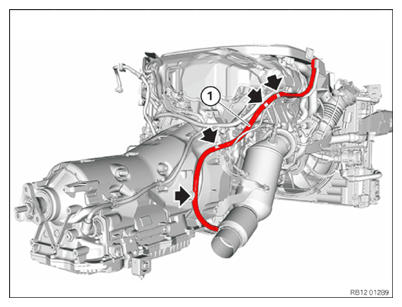 G15911906