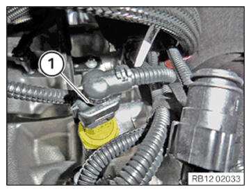 G15912294