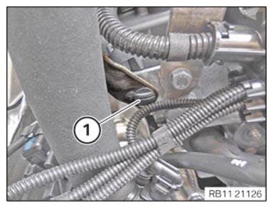 G15935451