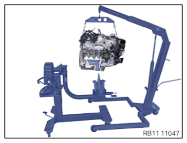 G15935550