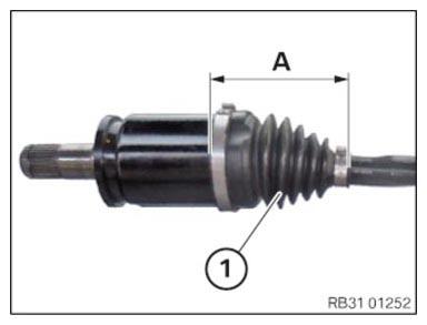 G15936120