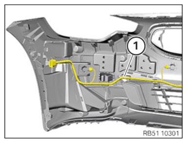 G15936281
