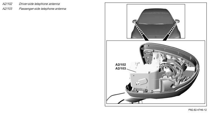G16063885