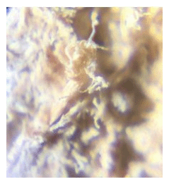 G16224957